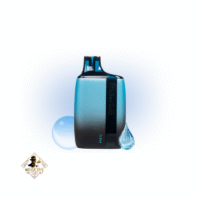 پاد یکبارمصرف پیلاتاک 8500 پاف | pillow talk Clear